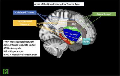 Neurobiological Alterations in Females With PTSD: A Systematic Review